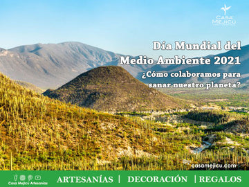 Día Mundial del Medio Ambiente 2021, ¿Cómo colaboramos para sanar nuestro planeta?