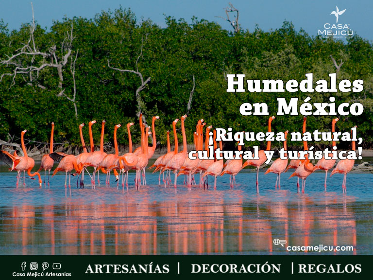 Humedales en México  ¡Riqueza natural, cultural y turística!