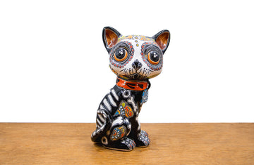 Gato calavera