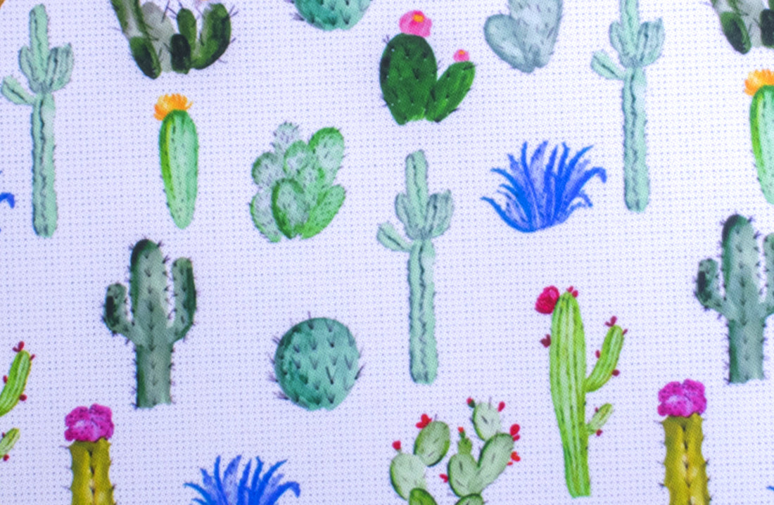 Mouse pad cactáceas