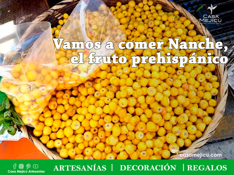 Vamos a comer Nanche, el fruto prehispánico