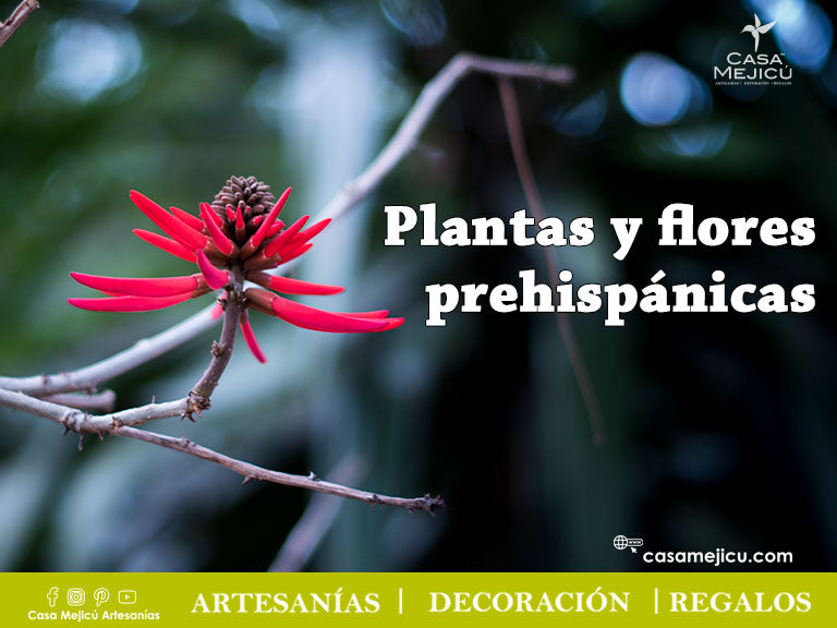 Plantas y flores prehispánicas