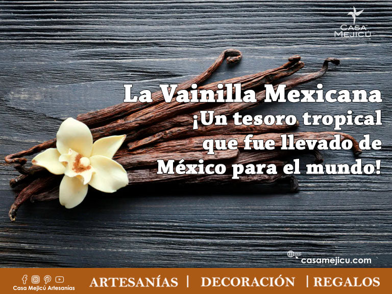 La Vainilla Mexicana  ¡Un tesoro tropical que fue llevado de México para el mundo!