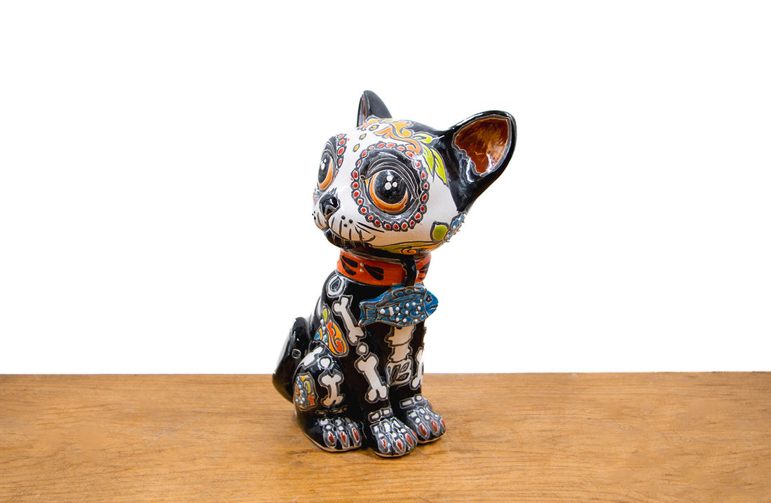 Gato calavera